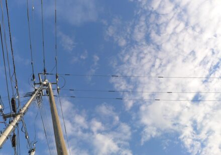 various wire nuts and electrical wires