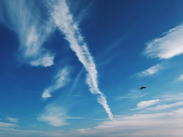 VSCO app subscription benefits screen (vsco stock)
