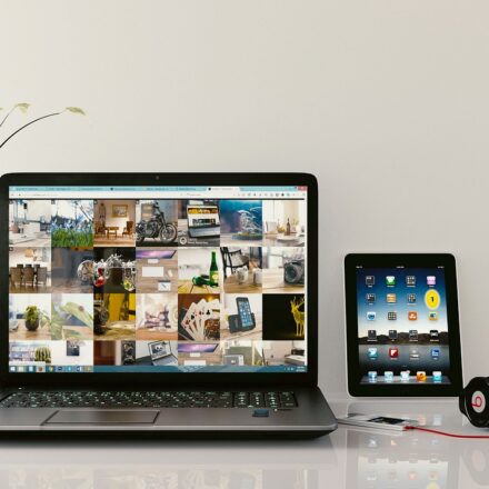 wikifeet x website interface