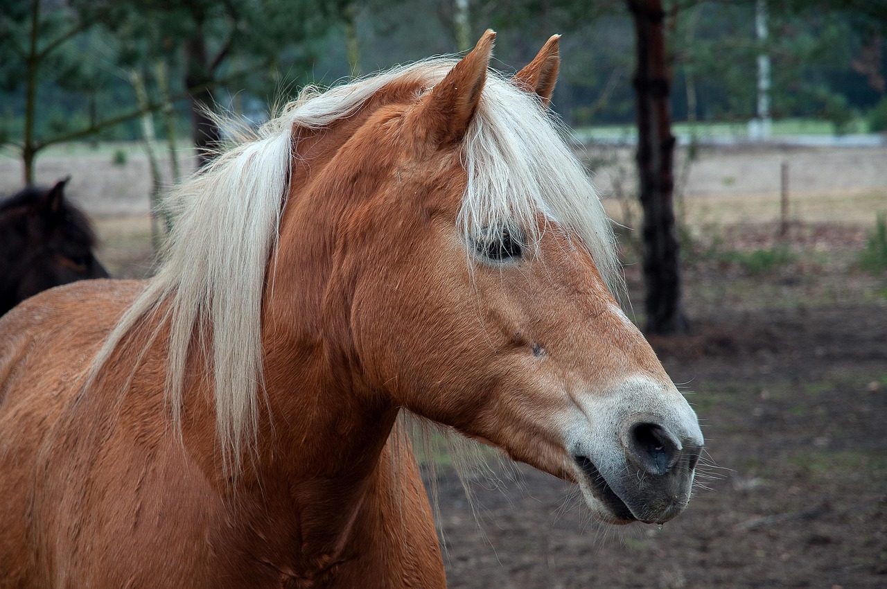 Painfulness Synonyms: Exploring Nuance